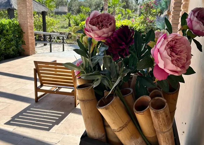 Villa Victoria & Olivar Malaga